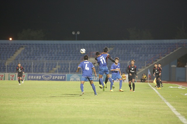 的热爱长期 的热爱长期