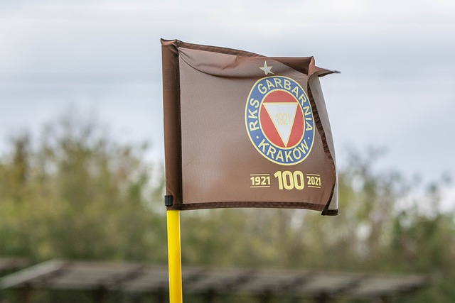 活泼和色彩 活泼和色彩