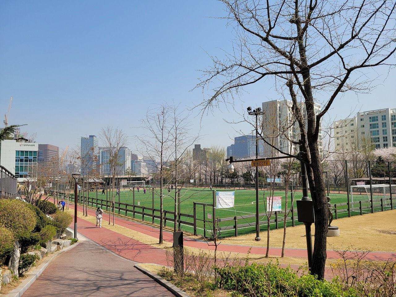 不仅是体育 不仅是体育