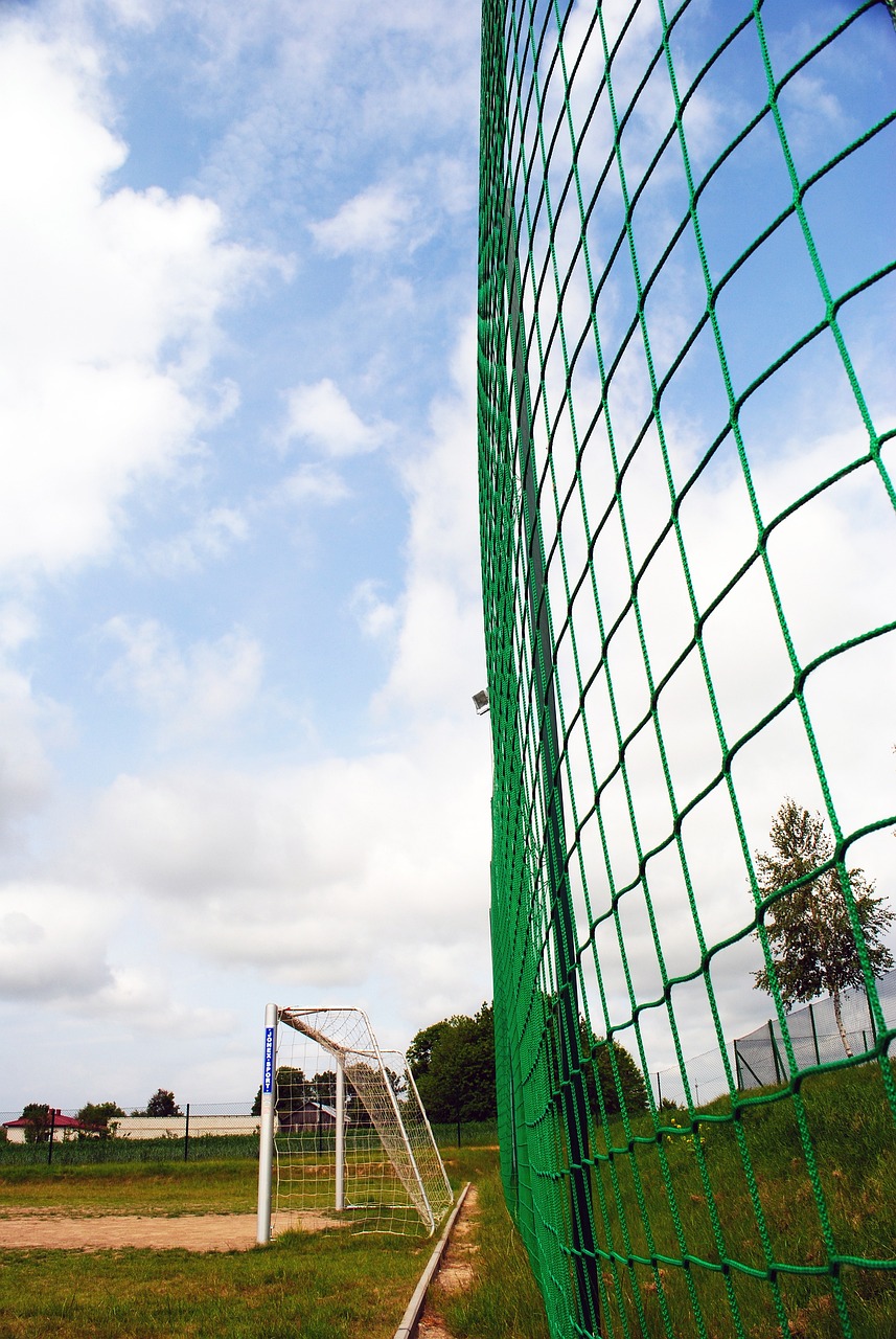 為國家爭取 為國家爭取