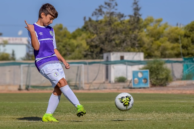 场均可以贡 场均可以贡