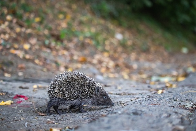 为提升全民 为提升全民