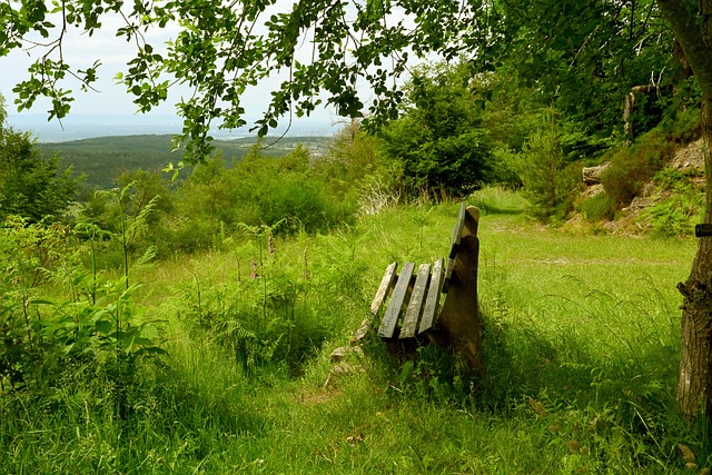 於歐洲前列 於歐洲前列