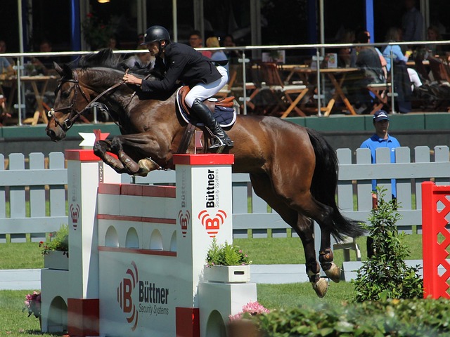 人职业生涯 人职业生涯